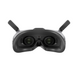 FPV окуляри DJI Goggles 2 (CP.FP.00000056.01) 101972 фото 4